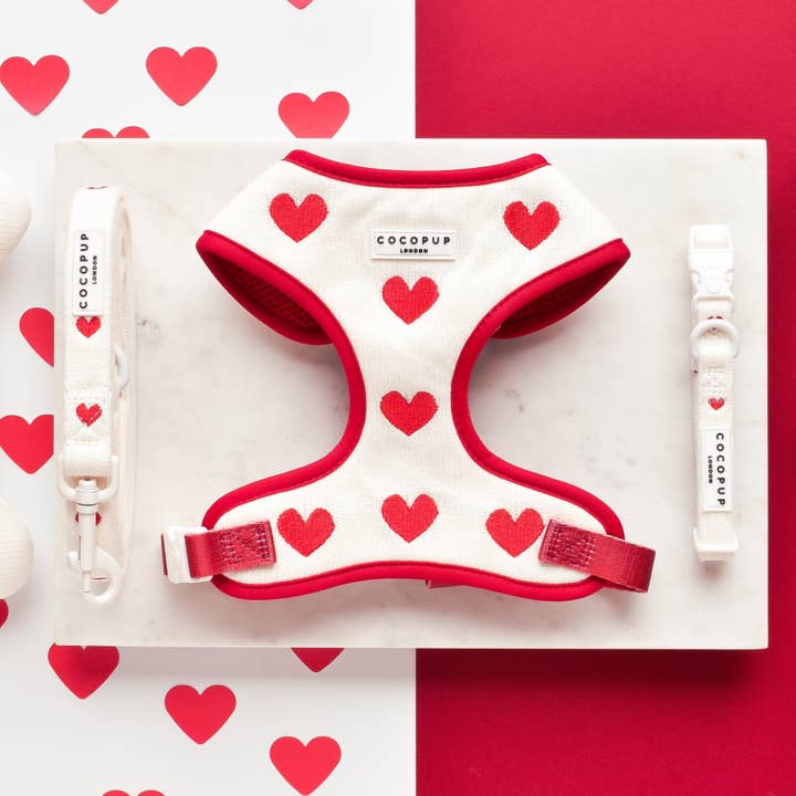 Cocopup London - Wholesale Pet collar – Dog - Hugs & Knitted Collar1