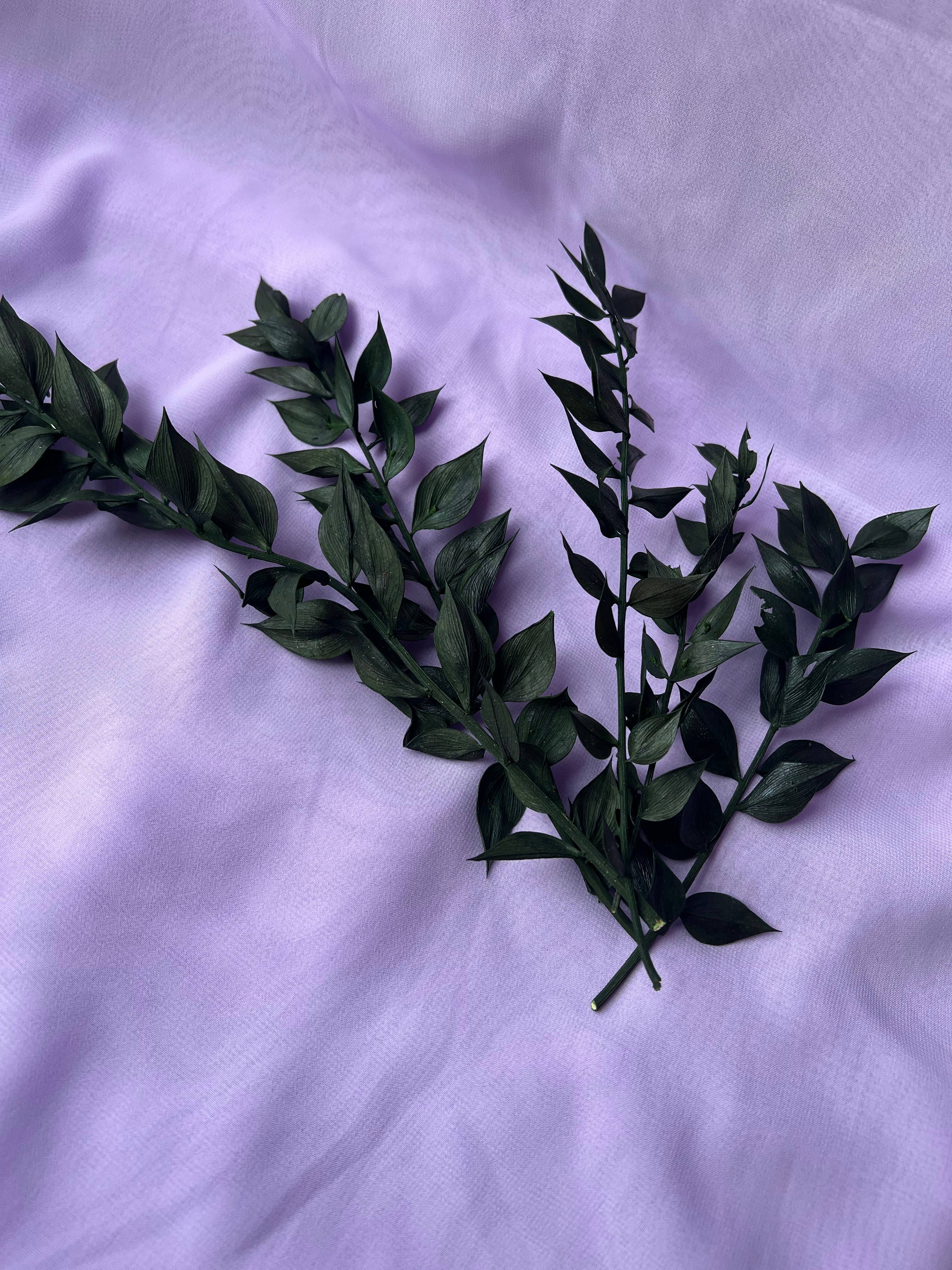 Saslittlevillage - Wholesale Gedroogde/geperste bloemen - Ruscus takken - donkergroen - 10 stuks1