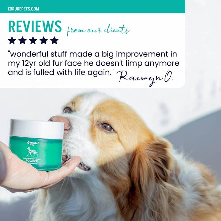 Kōrure Pets - Wholesale Pet supplement – Dog - Dog NZ Green Lipped Mussel Powder