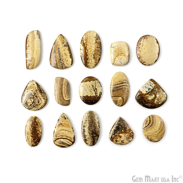 GemMartUSA - Wholesale Spirituele steen/kristal - Foto: Jasper Mix Shape Cabochon, geboortesteen van maart 2-2,5 inch3