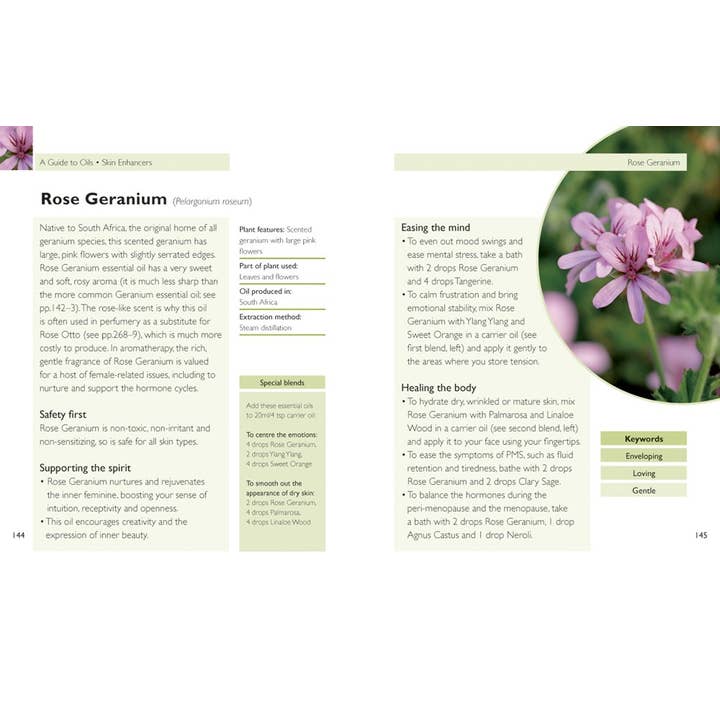 Texas Bookman - Wholesale Book - Adult - Essential Guide To Oils