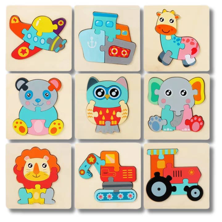 JSBlueRidge Toys - Wholesale Brain game – Child - Montessori Educational Wooden Puzzle Brain Kids Toy4