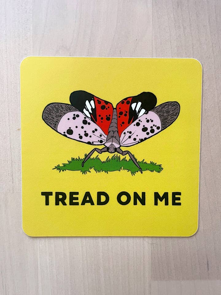 Spotted Lanternfly - Tread on Me - 3" Sticker for wholesale by Lydia Tonkonow Art and Design LLC