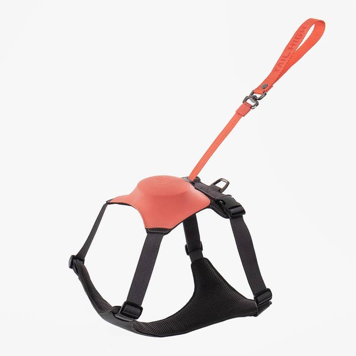 Harnais hybride pour chiens TailHigh - Sunset Pink pour la vente par TailHigh