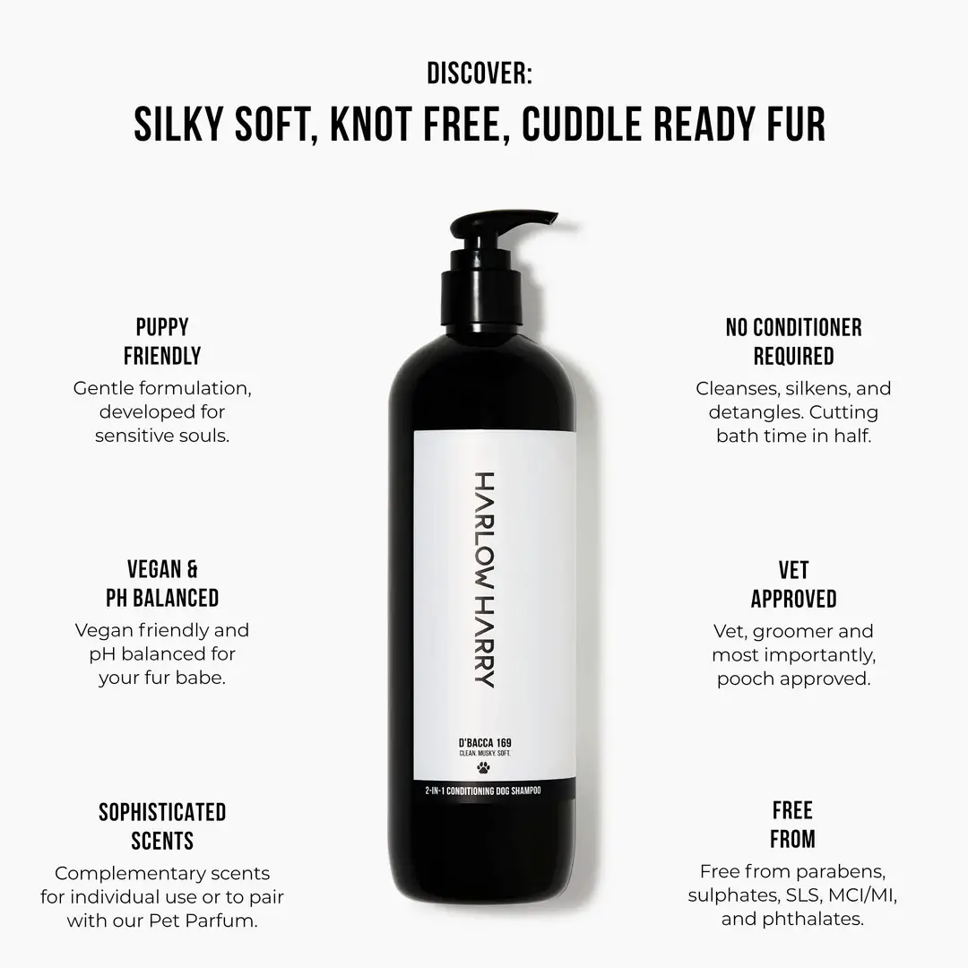 HARLOW HARRY - Wholesale Pet Shampoo - Dog - 2-in-1 Conditioning Dog Shampoo | D'bacca 1693
