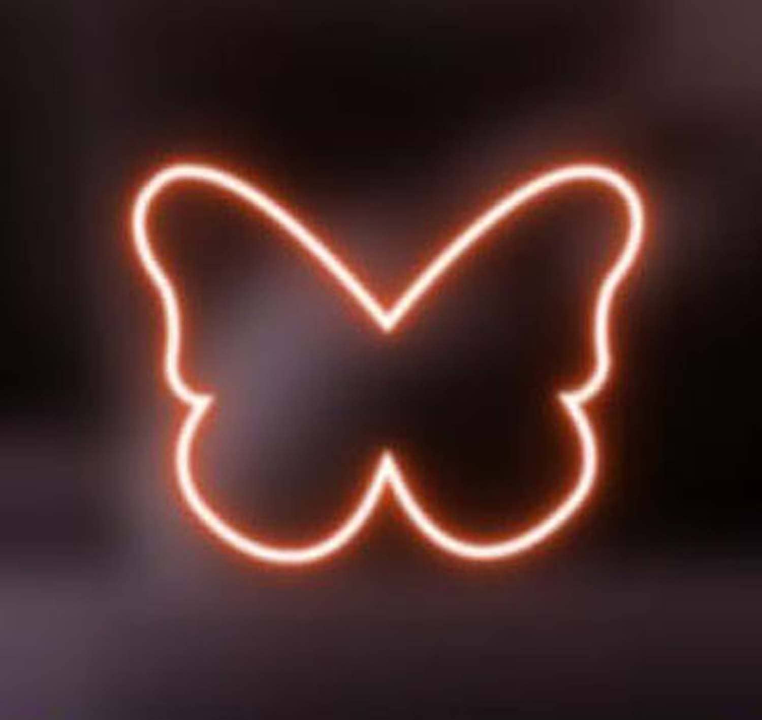 LAX Gadgets - Vendita all'ingrosso Insegna al neon - Luce al neon RGB a corda – Flessibile 20 piedi per interni/esterni3