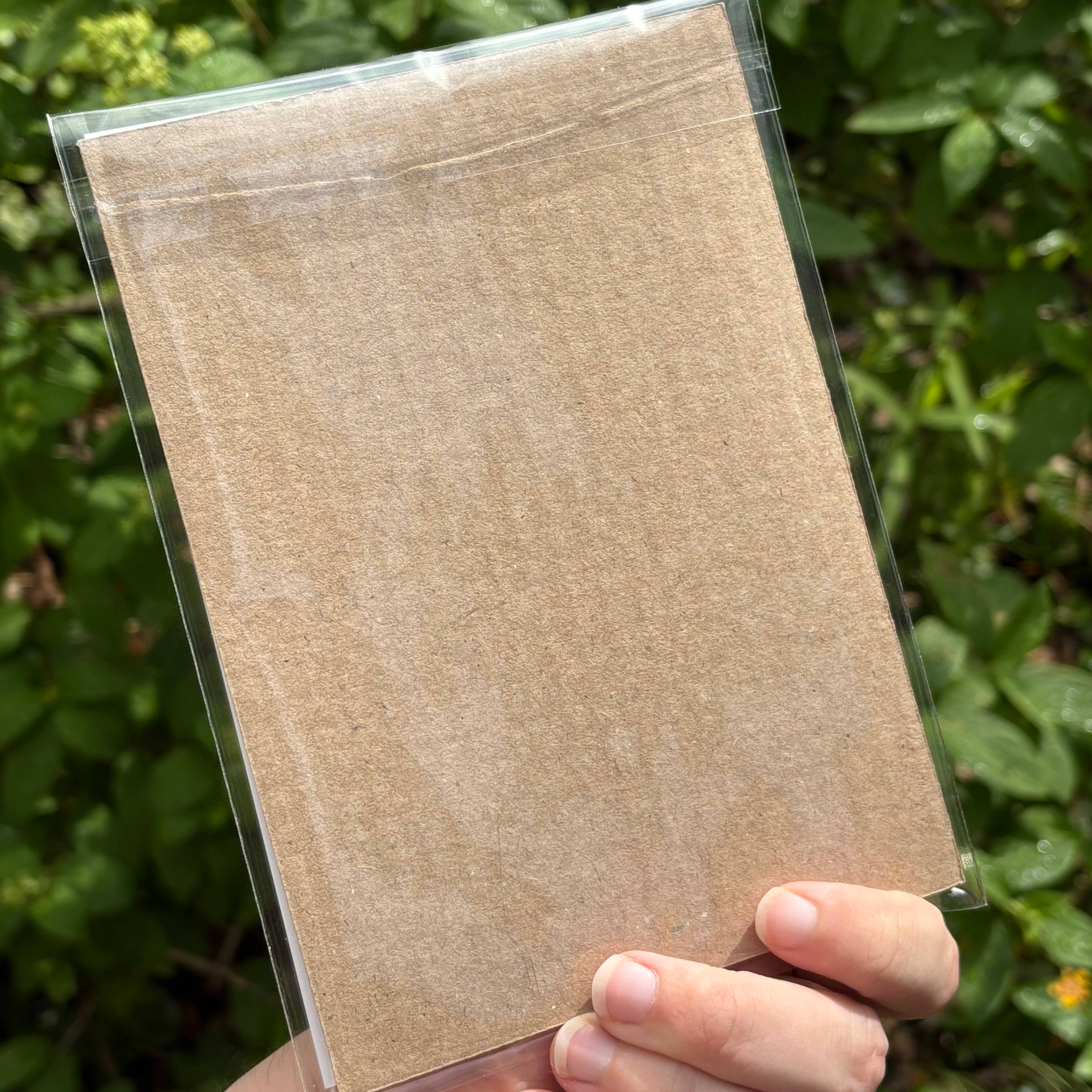 Microbiome Arts - Wholesale Art Print - Protect Local Pollinators Postcard Print3