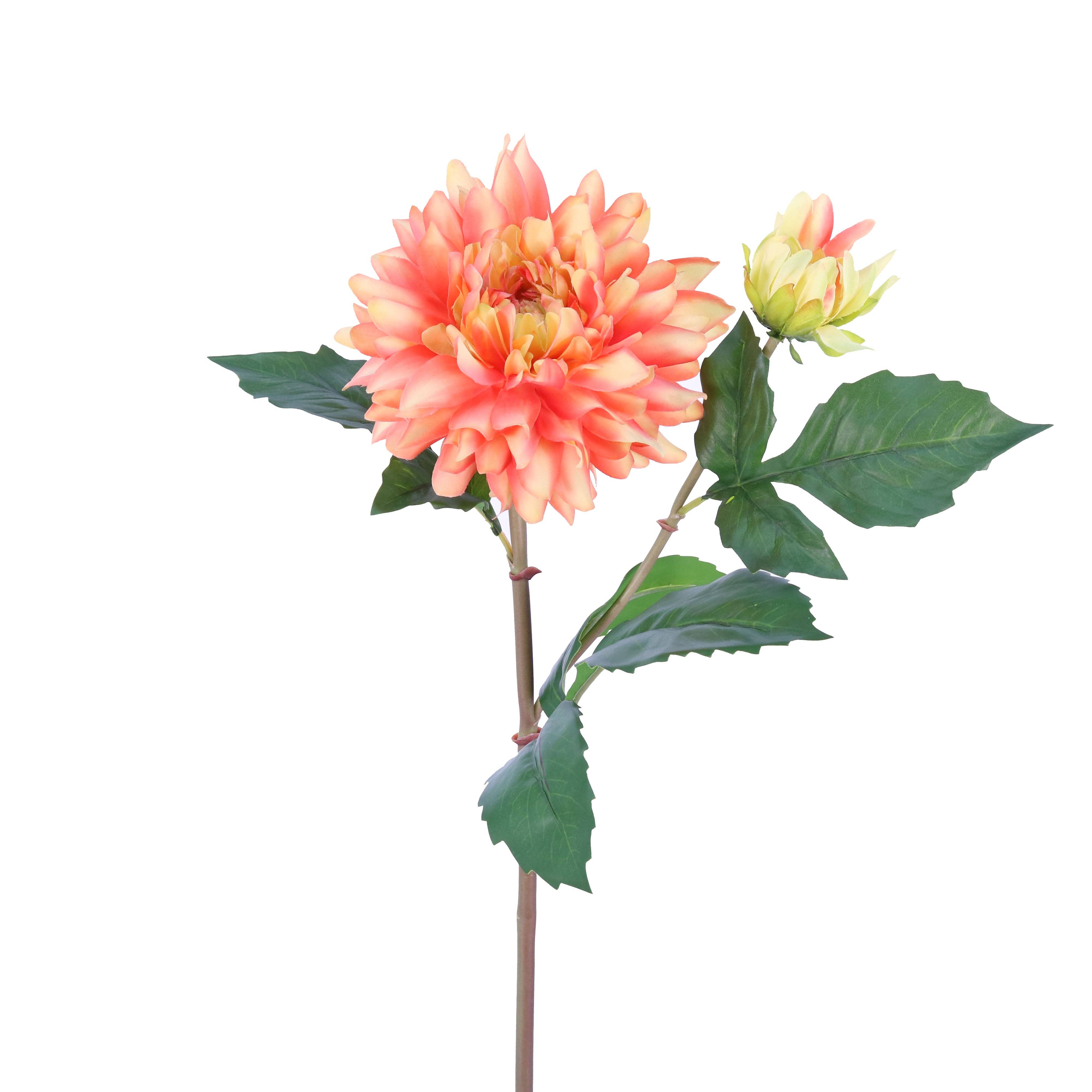 Green Import Limited - Vente Fleurs artificielles - Pulvérisateur FL10810 DAHLIA X1F1B, 22 pouces, 12 pouces, 96/7,58 pieds1