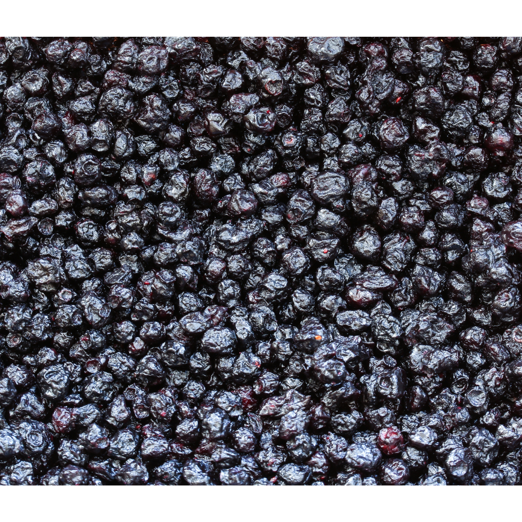 Good Sense Foods - Wholesale Dried/Dehydrated Fruit - Dried Blueberries, 25lb bag0