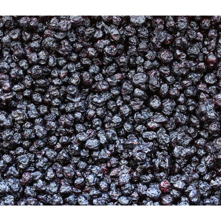 Good Sense Foods - Wholesale Dried/Dehydrated Fruit - Dried Blueberries, 25lb bag