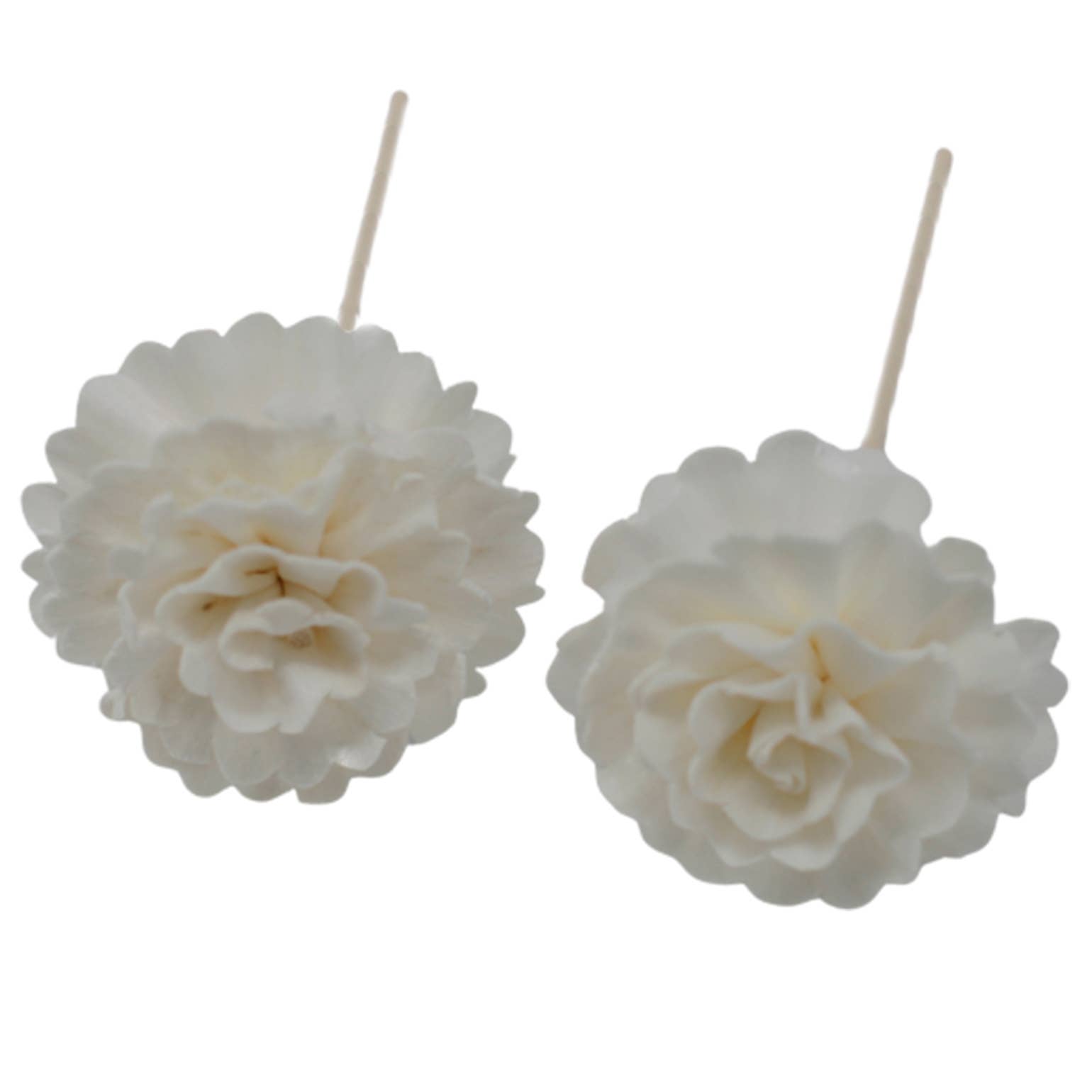 Ancient Wisdom - Wholesale Reed Diffuser - Natural Diffuser Flowers - Carnation on Reed2