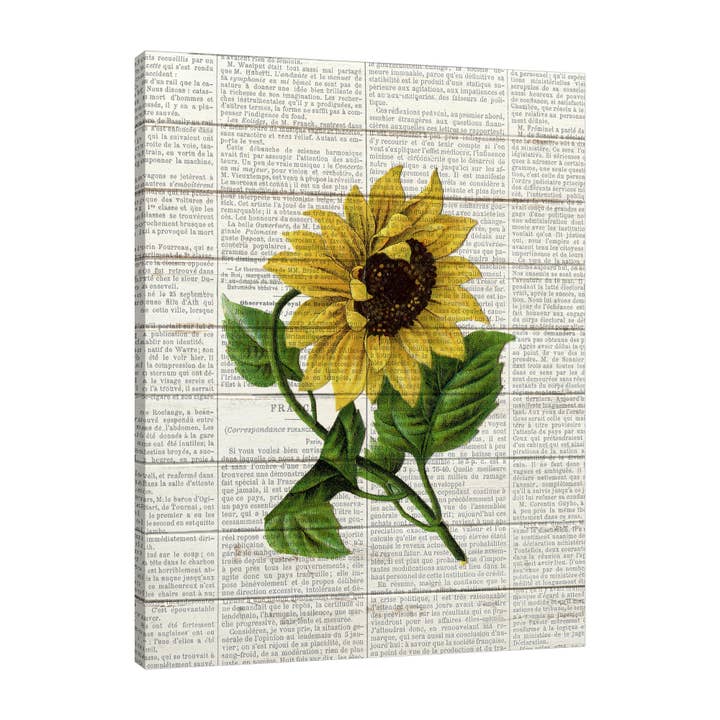 Sunflower Print 1 Gallery Wrapped Canvas for wholesale by Jaxson Rea