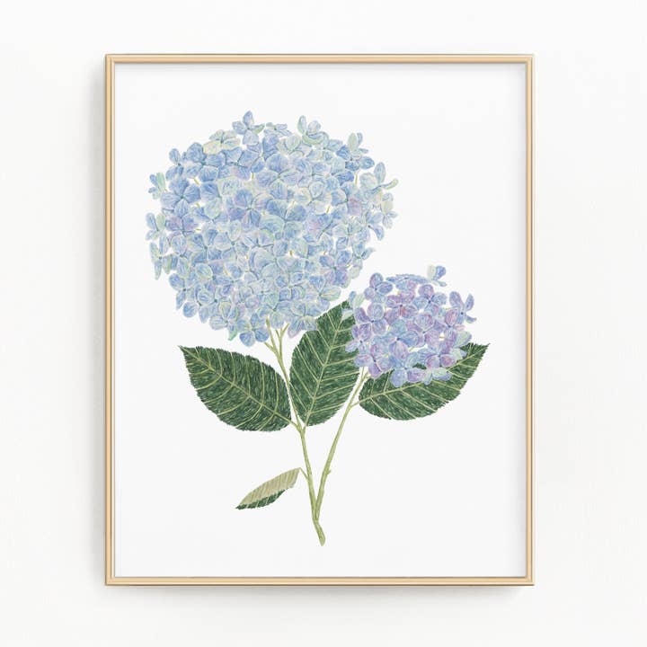 Hortensia print voor wholesale door Emilie Taylor