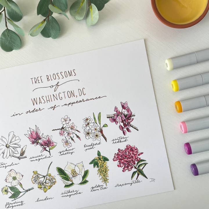 Tree Blossoms of Washington, DC | Recycled Cardstock Print for wholesale by D. Prince Designs
