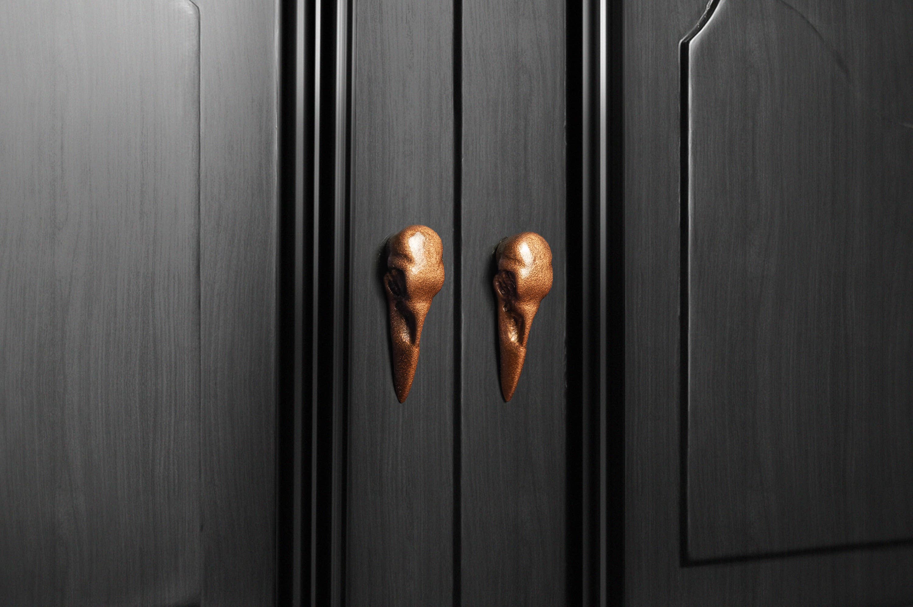 G7T6 – Engroshandel Knap/træk – Raven Skull skabs- og skuffegreb, moderne design1