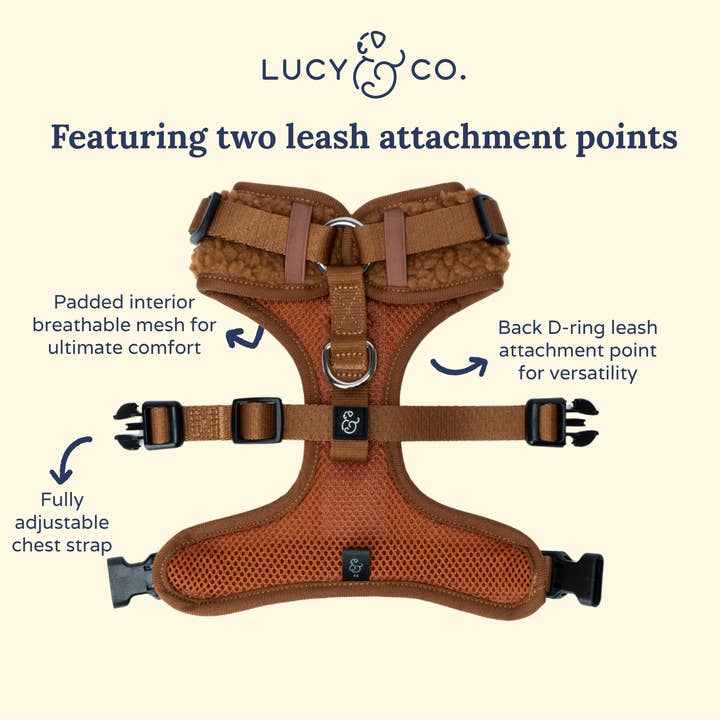 Lucy & Co. - Wholesale Pet harness – Dog - Cinnamon Teddy No-Pull Harness4