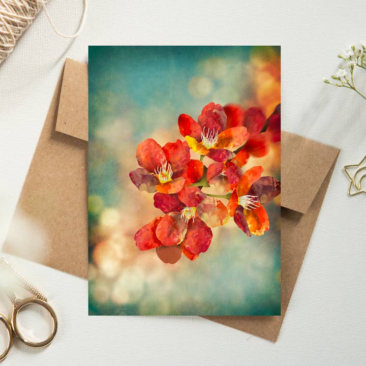 Orange postkort 'Sakura Spring' for engroshandel hos MOMOKOSTUDIO