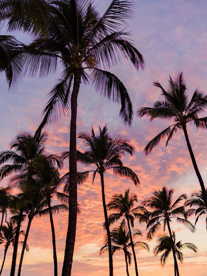 Coucher de soleil à Mokapu pour la vente par Love + Water Photography