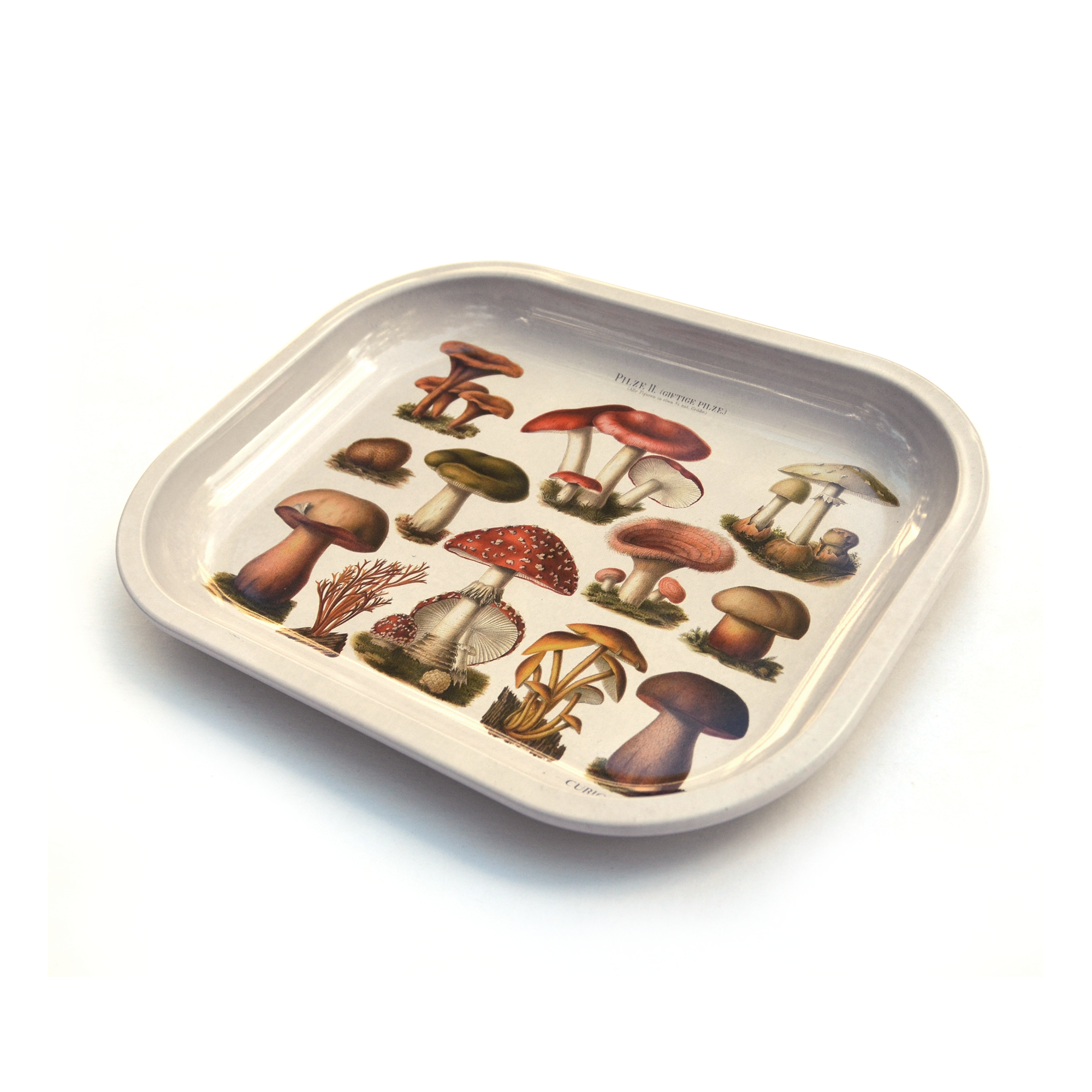 Curious Prints - Wholesale Decorative Tray - Small Metal Tan Mushroom Ritual Tray / Vintage Illustration2