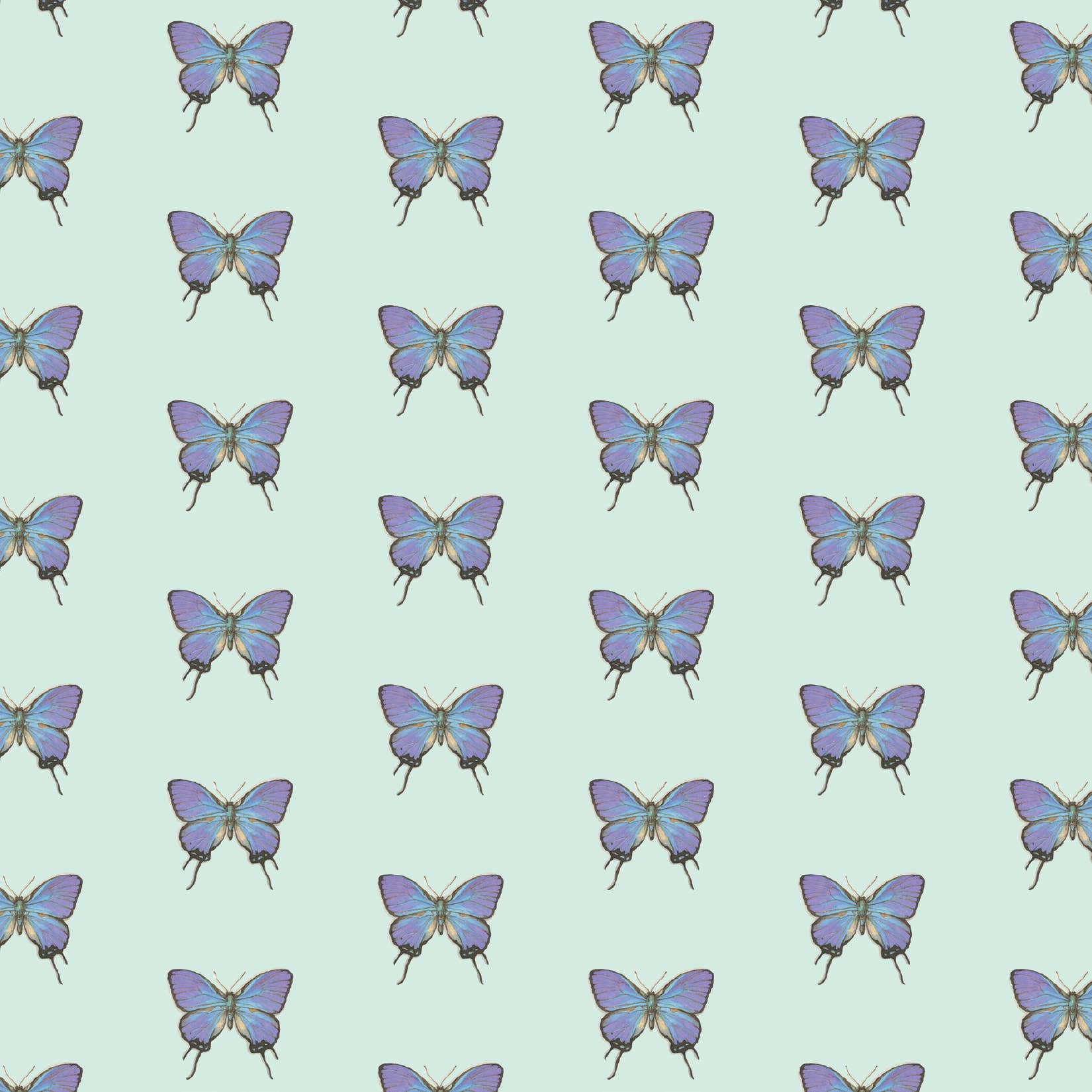 Yeesan Loh - Wholesale Flat Wrap - Gift Wrap / Butterflies & Moths2