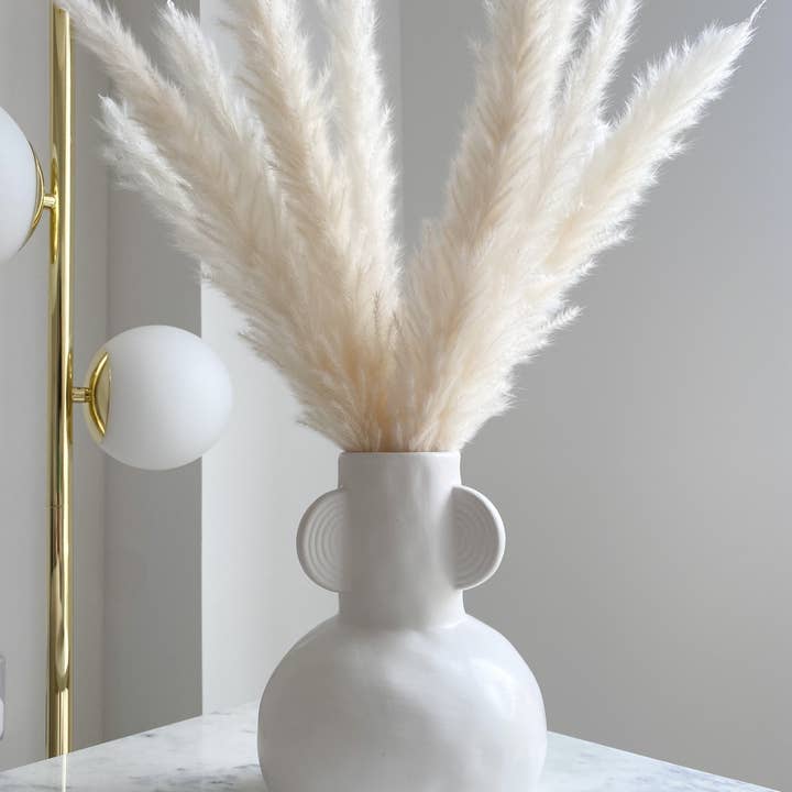 Opal Lily - Wholesale Dried/pressed flowers - Small White Pampas Grass5