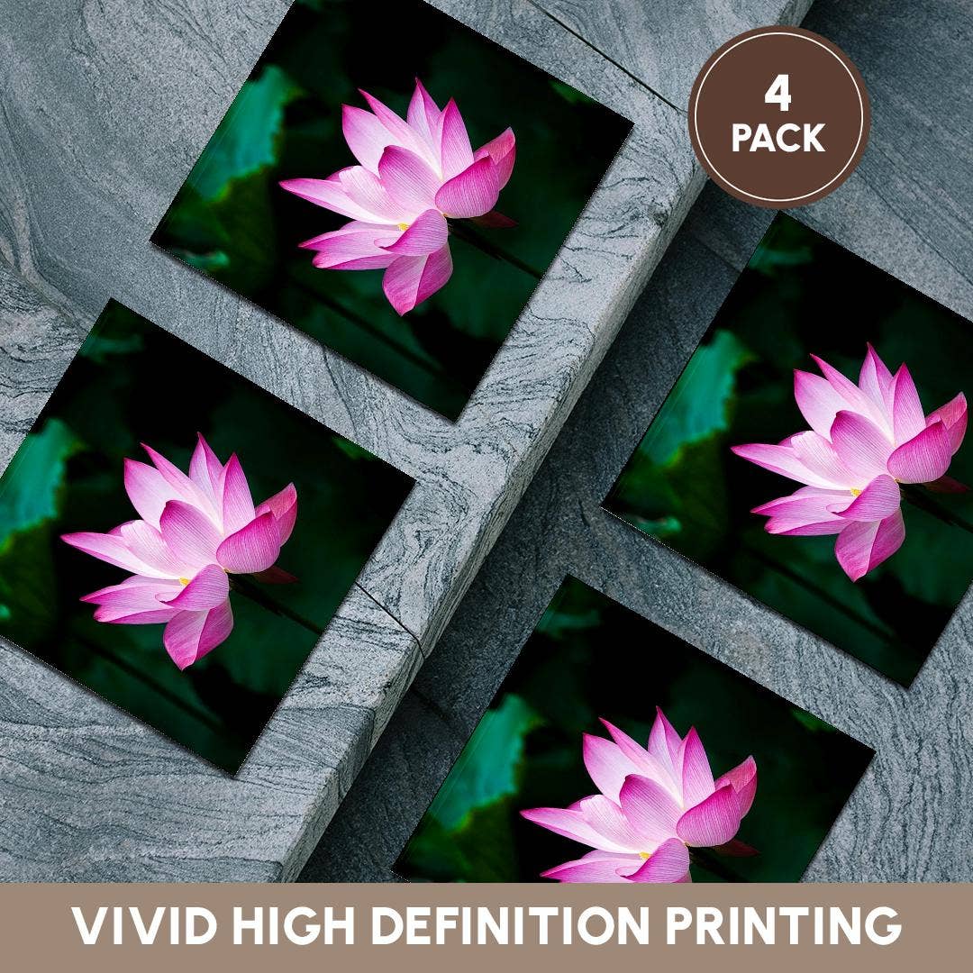 3dRose - Wholesale Coasters - 3dRose, Image of Pink Floating Water Lily, Coaster5