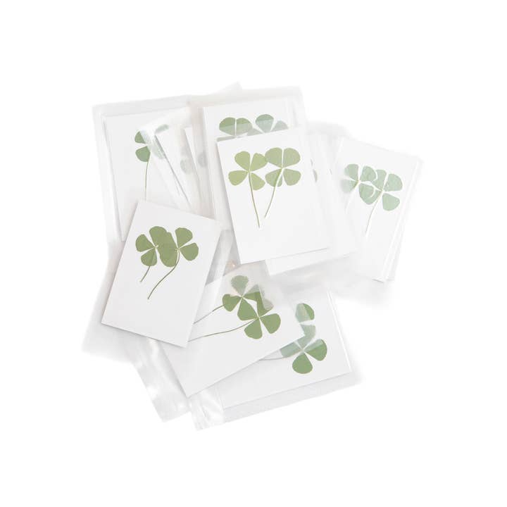 Pressed Four Leaf Clovers-Set of 50 for wholesale by Sugarboo & Co
