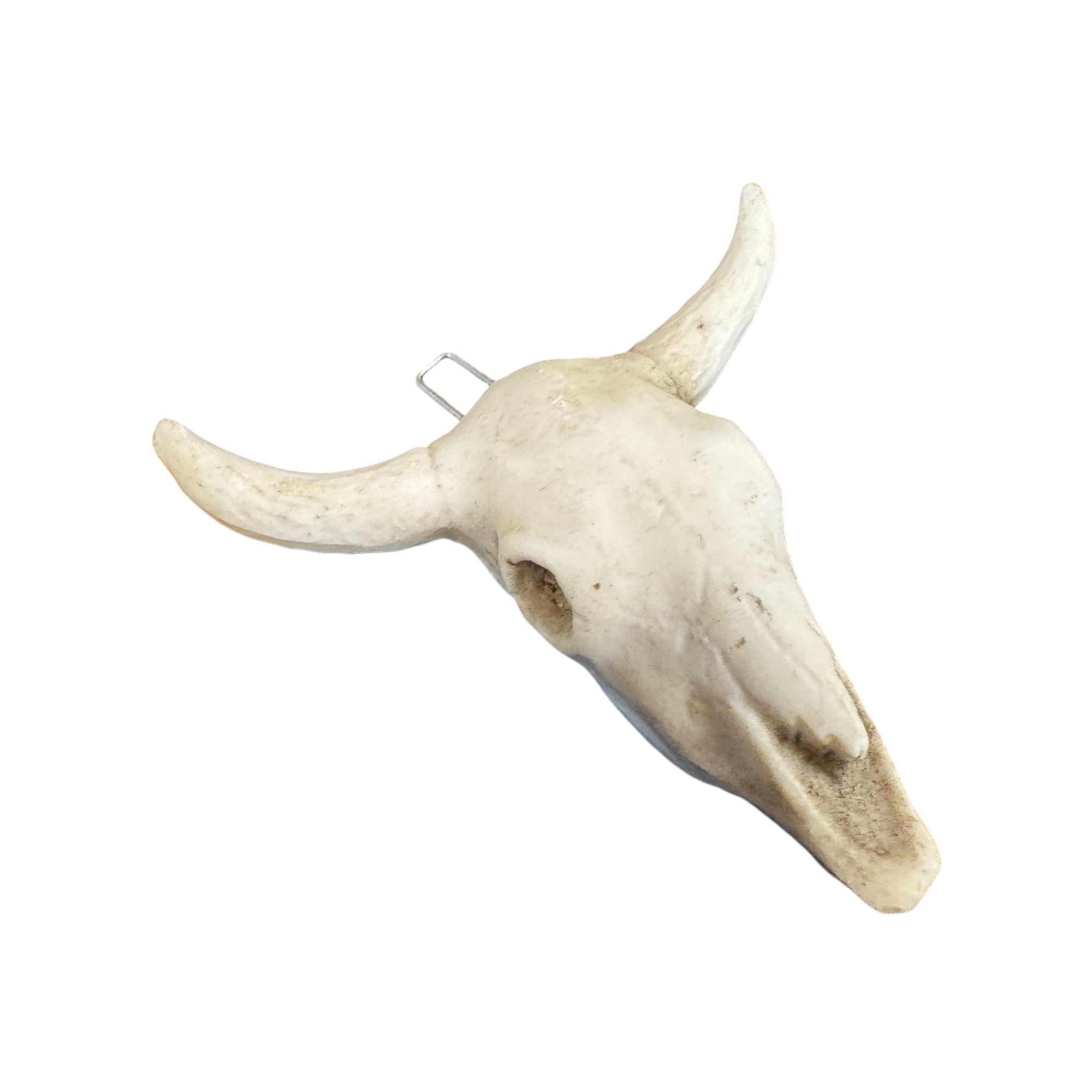 Wilco Home - Vente Objets de décoration - Ornement/Charme Crâne de Taureau en Résine5