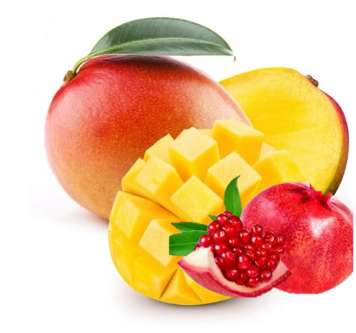 HERB'N SWIGG - Wholesale Kombucha - Kombucha Tea 12oz 6 Pack8