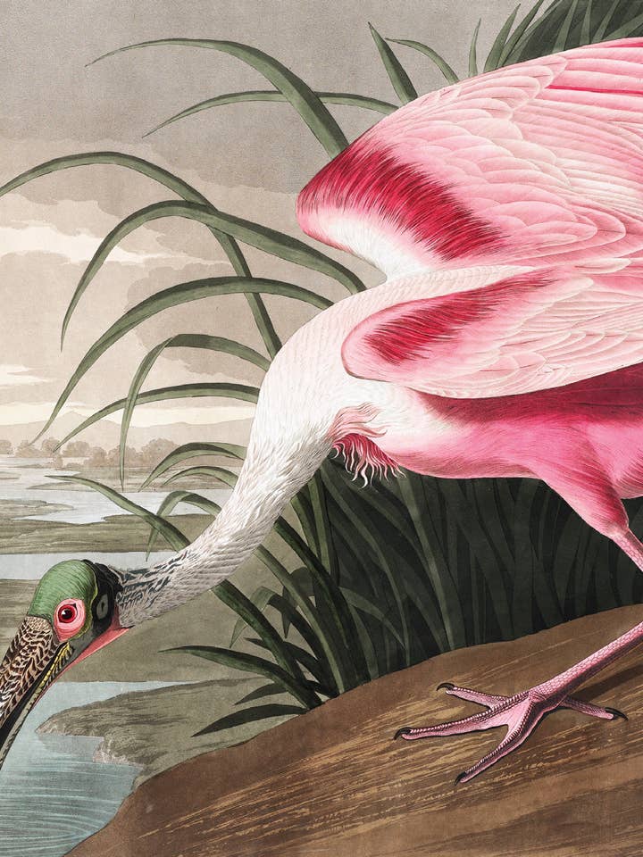 Ansichtkaart Lepelaar (231077) voor wholesale door The Knowledge of Things by Catch Publishing