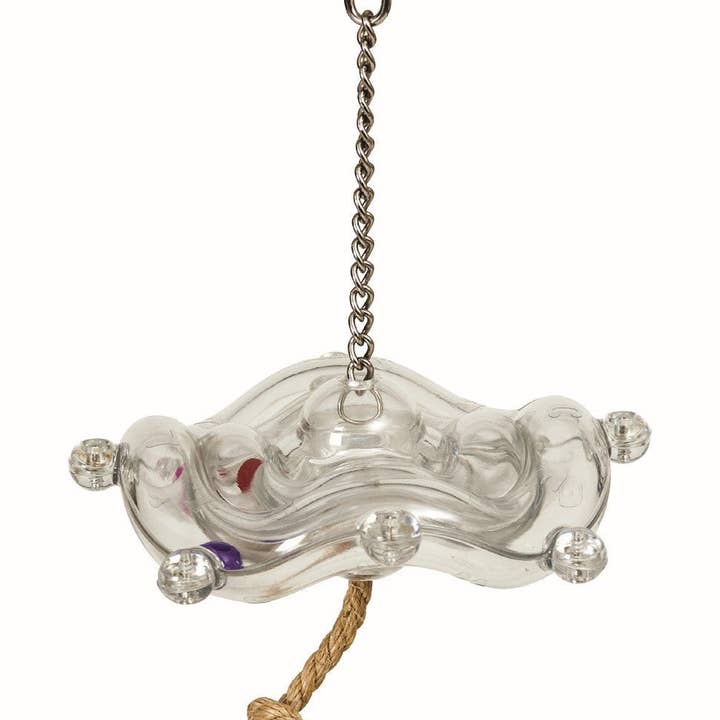 Große Silly Untertasse für den Großhandel von Caitec Inc