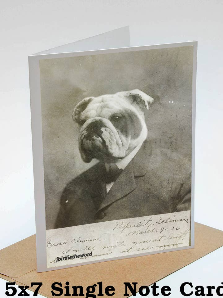Bulldog Victorian Note Card for wholesale by The Wild Oddisorium