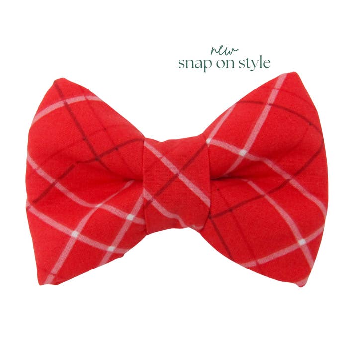 Noeud papillon pour chien Snap On Cherish pour la Saint-Valentin | NOUVEAU STYLE pour la vente par Winnie and the Hound