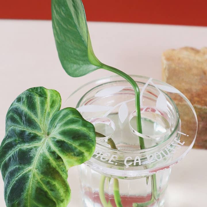 Greenterior - Vendita all'ingrosso Vasi per piante - Bobche - Silenzio, cresce3