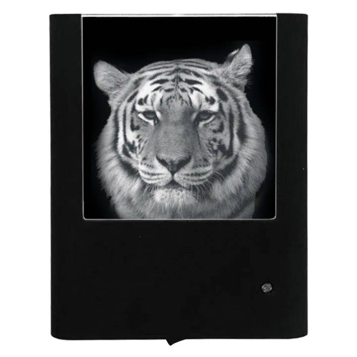 Engraved Tiger for wholesale by Nightlight Studio