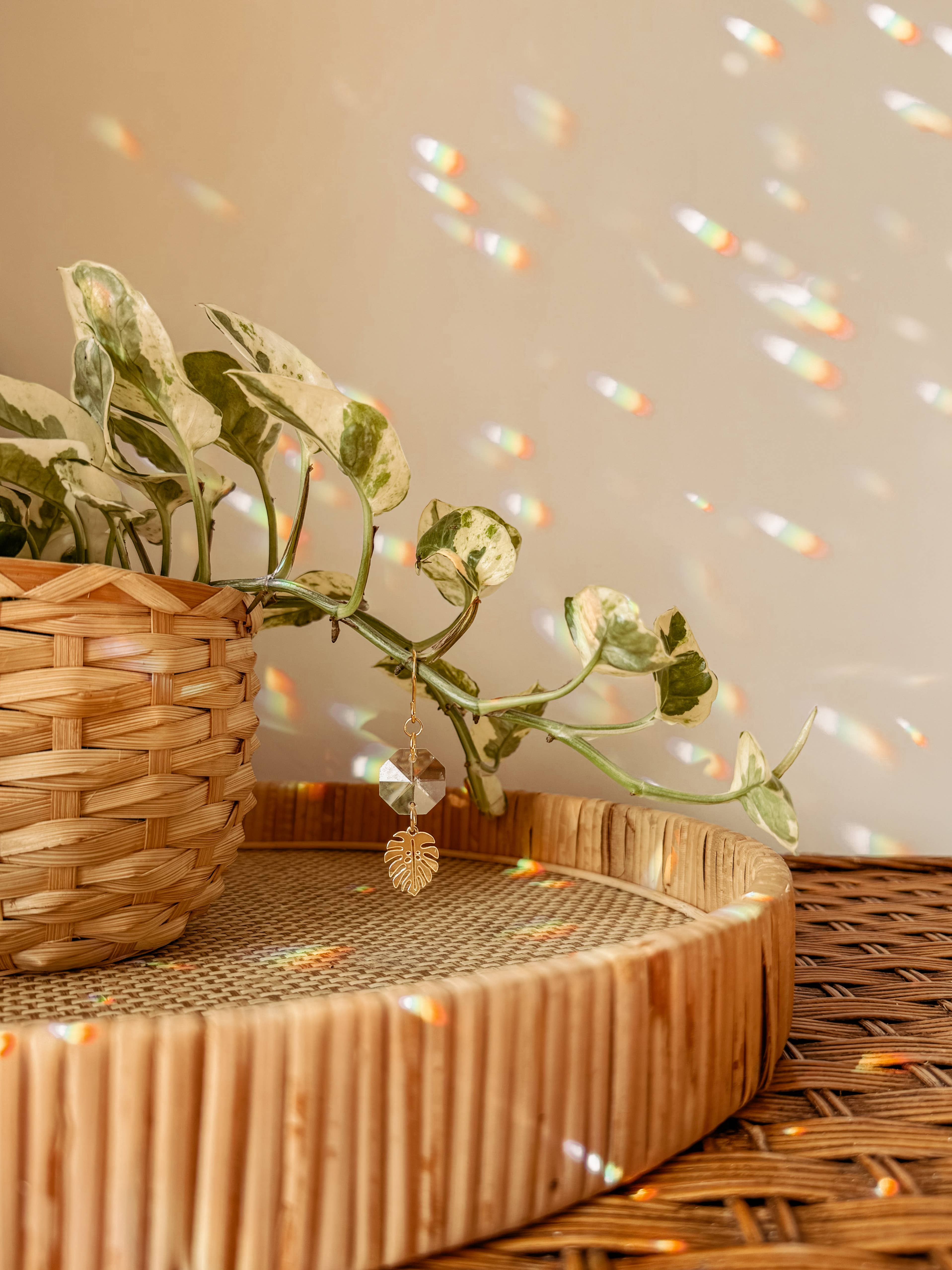 Meraki The Studio Co. – wholesale Solfångare – Växtcharm | Solfångare + Monstera-blad | Ranktillbehör3