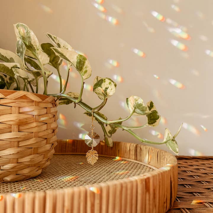 Meraki The Studio Co. – Suncatcher por atacado – Encanto de Planta | Apanhador de Sol + Folha de Monstera | Acessório de Vinha3