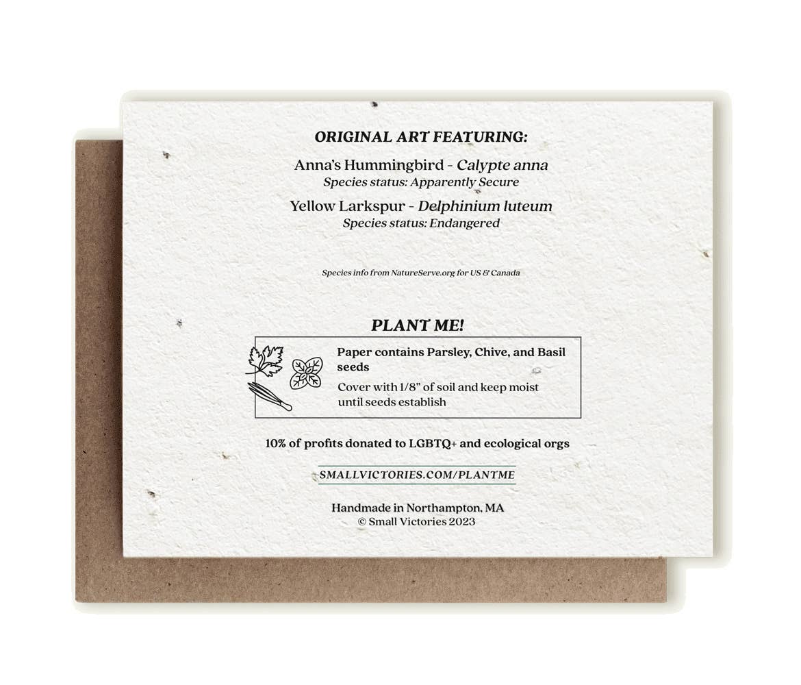 Small Victories - Wholesale Everyday Greeting Card - Anna's Hummingbird & Larkspur Plantable Herb Seed Card1