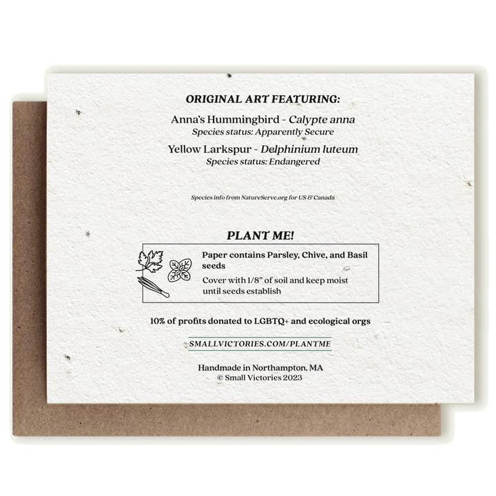 Small Victories - Wholesale Everyday Greeting Card - Anna's Hummingbird & Larkspur Plantable Herb Seed Card1