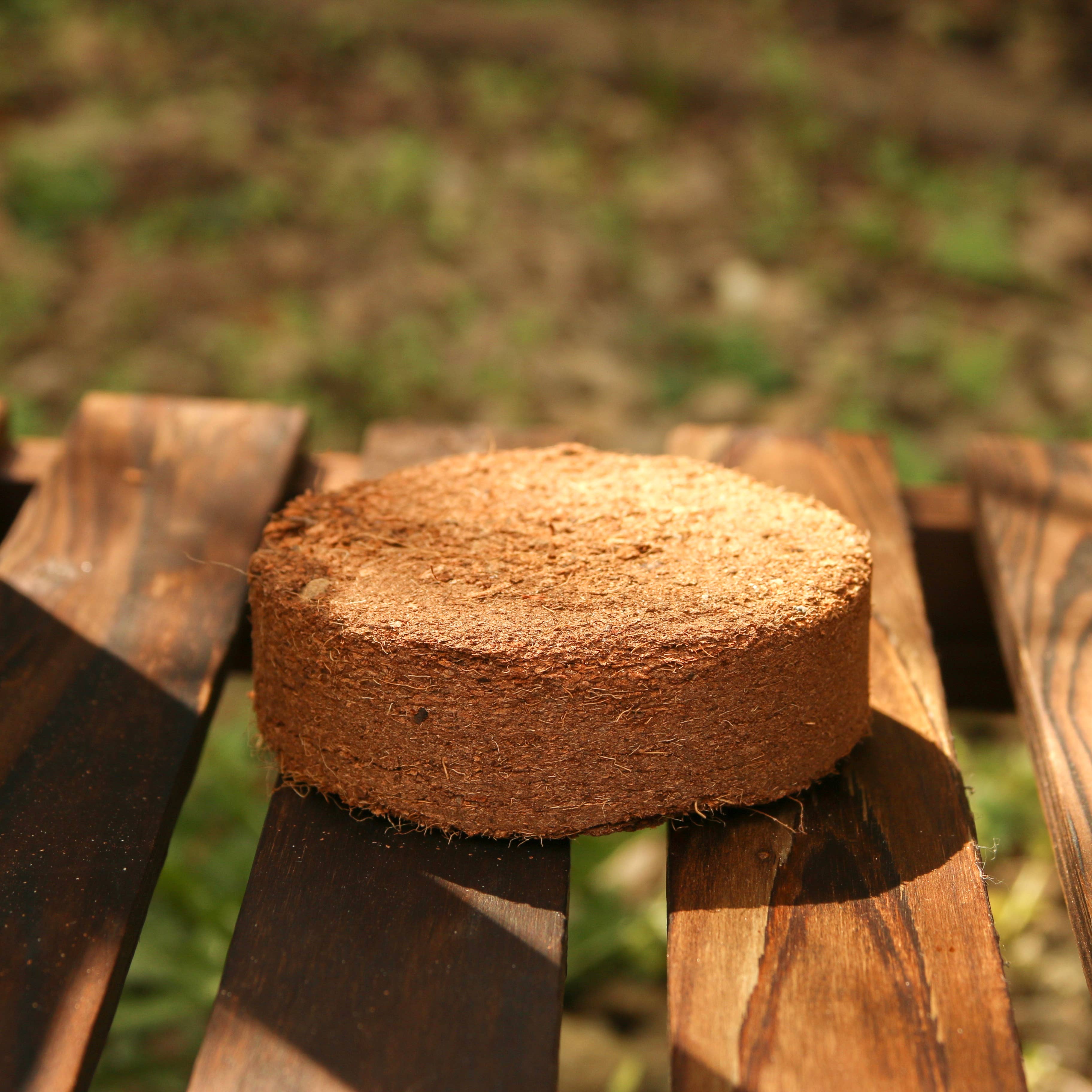 CoirProducts.co.uk of Salike Limited – wholesale Planting/potting soil – Coir discs 75-80mm CoirProducts CPUK7