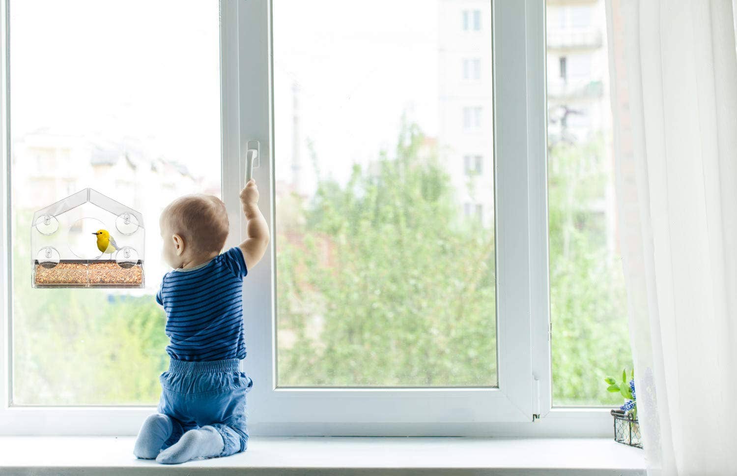 Ashman Online - Wholesale Throw Pillow Cover - Ashman Deluxe Window Bird Feeder, Spacious Design, Easy to Install, Clean and Fill, Great Gift for Friends and Family9