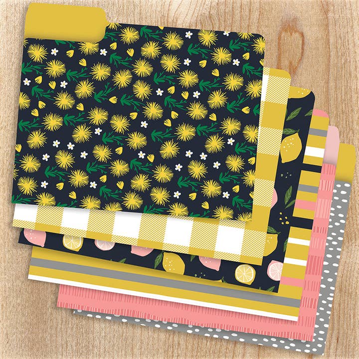 TF Publishing - Paper Goods - Venta al por mayor Carpetas - Joy Designer - Juego de 12 archivadores decorativos