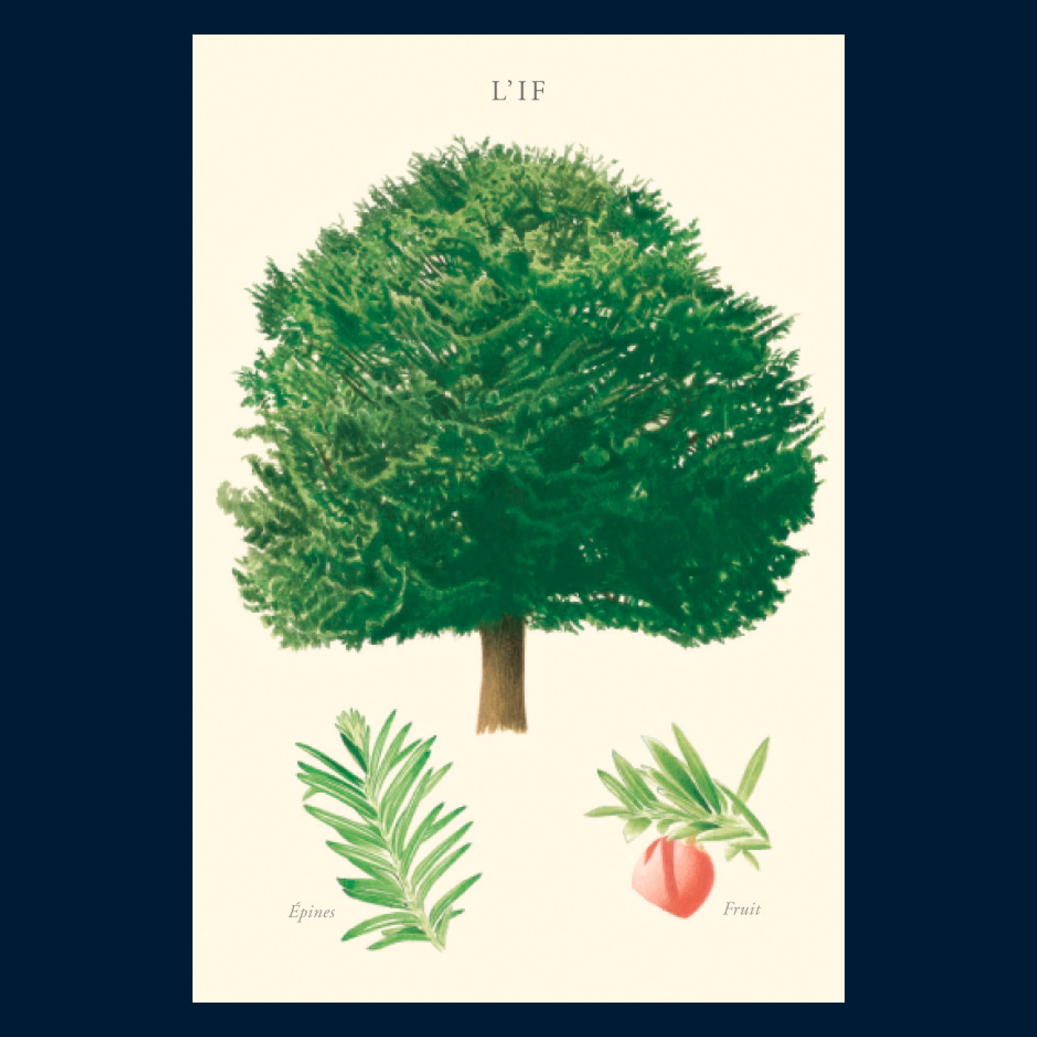 Longue-vue - Wholesale Ansichtkaart - If - Ansichtkaart2