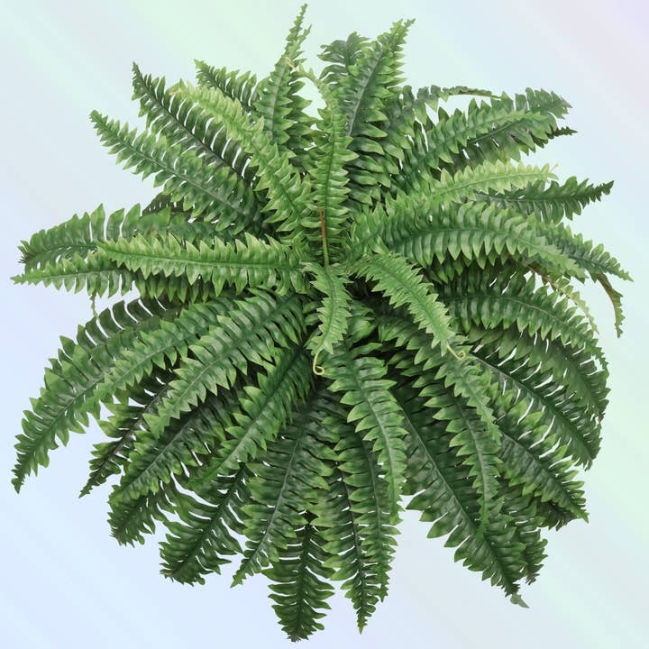 Larksilk - Wholesale Artificial Plant - Boston Fern 34" Lush Decorative Indoor Plant Spring Decor 24