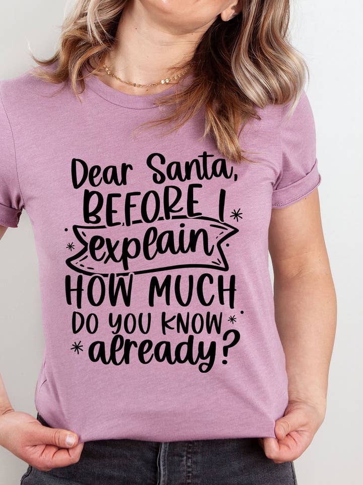 Select Apparel - Wholesale Screen printed t-shirt – Women′s - Dear Santa How Much Do you Know Graphic Tee6