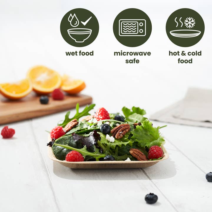 Häago - Wholesale Disposable Plate - 20 Recyclable Palm Leaf Plates1