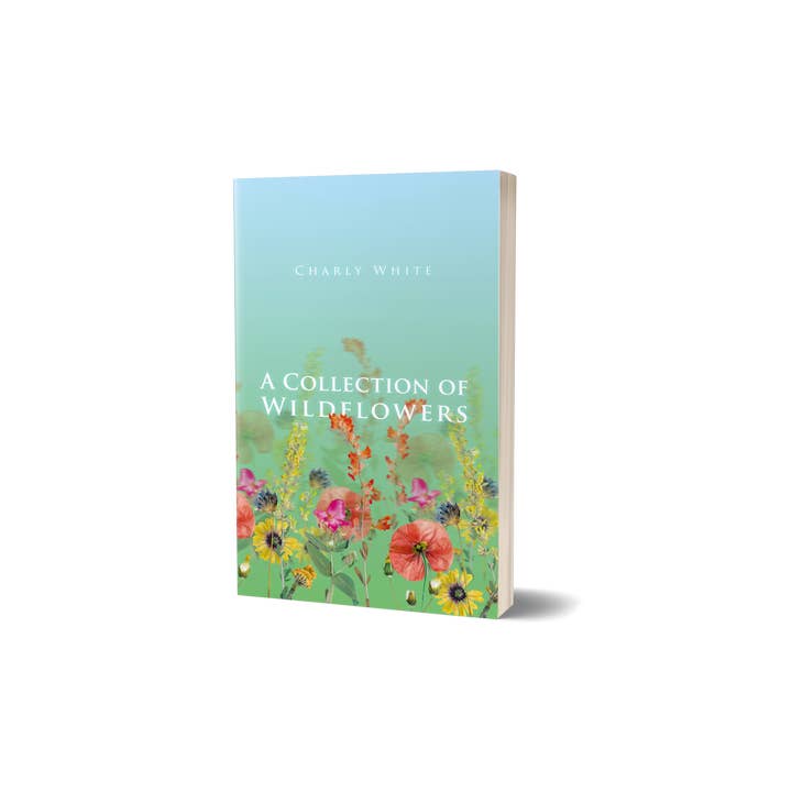 A Collection of Wildflowers' by Charly White for wholesale by Arkbound