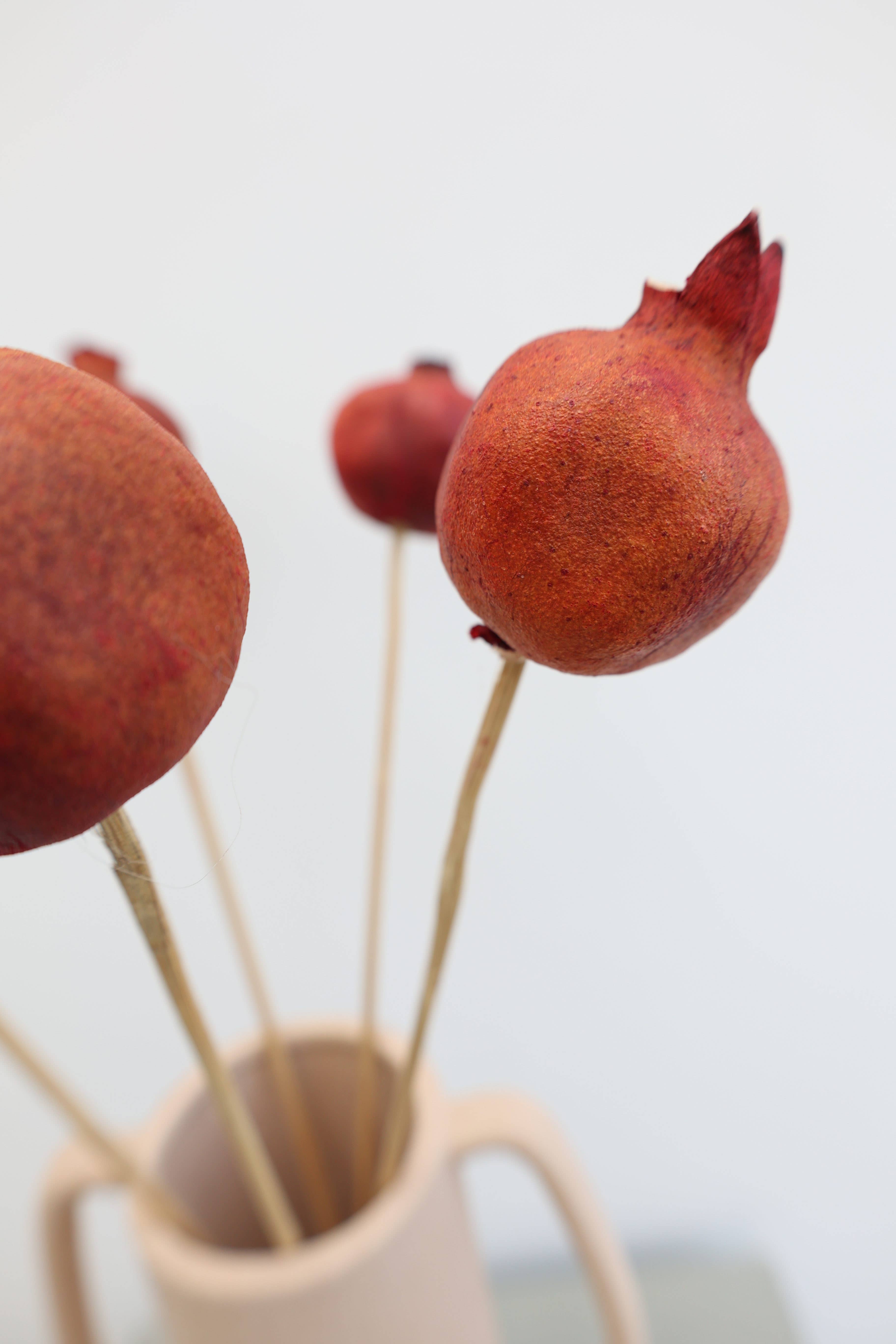 FlowerFantaSee - Wholesale Dried/Pressed Flowers - Dried Pomegranate Stems 8