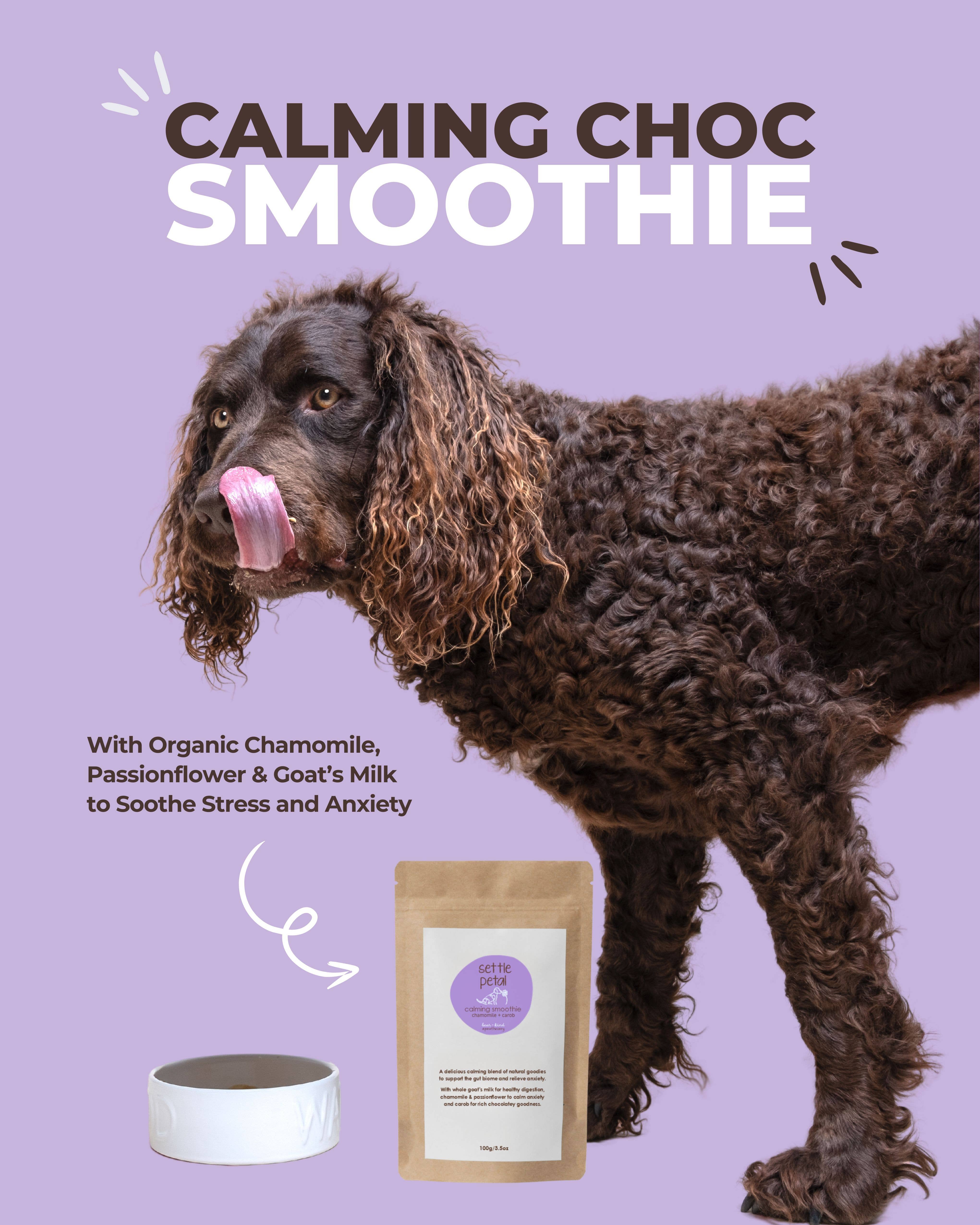 Bear and Kind Apawthecary - Wholesale Hondenkoekjes - Hond - Relaxte chocolade smoothie voor honden2