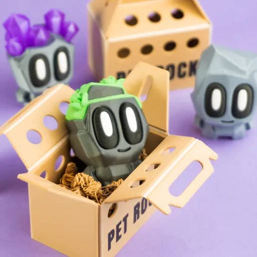 Great American Designs - Wholesale Fidget Toy - Kids - Mini Pet Rock Blind Box Collectible Art 3D Printed Toy1